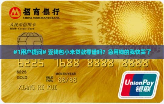 壹钱包小米贷款