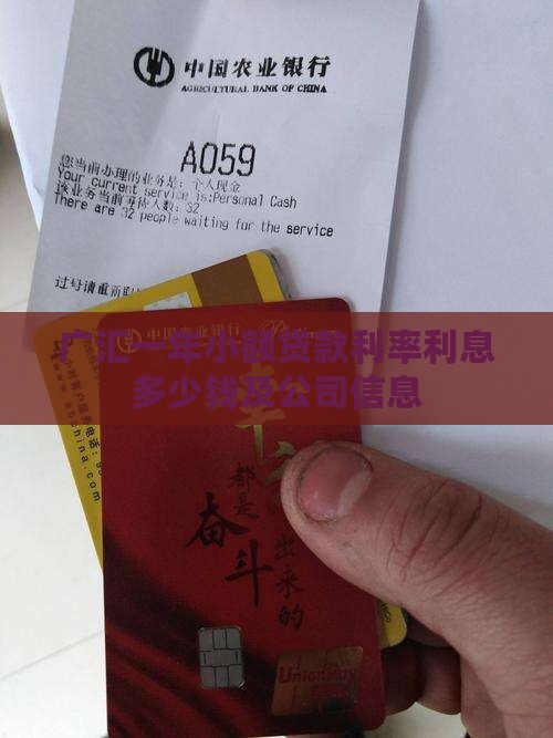 广汇一年小额贷款