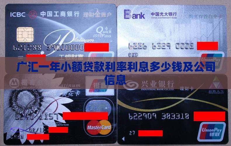 广汇一年小额贷款