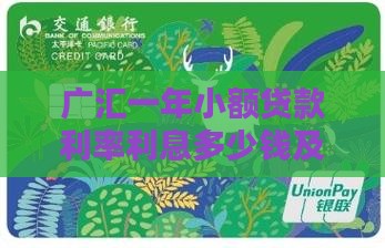 广汇一年小额贷款