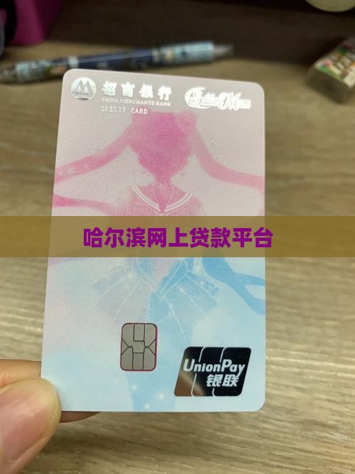 哈尔滨网上贷款平台