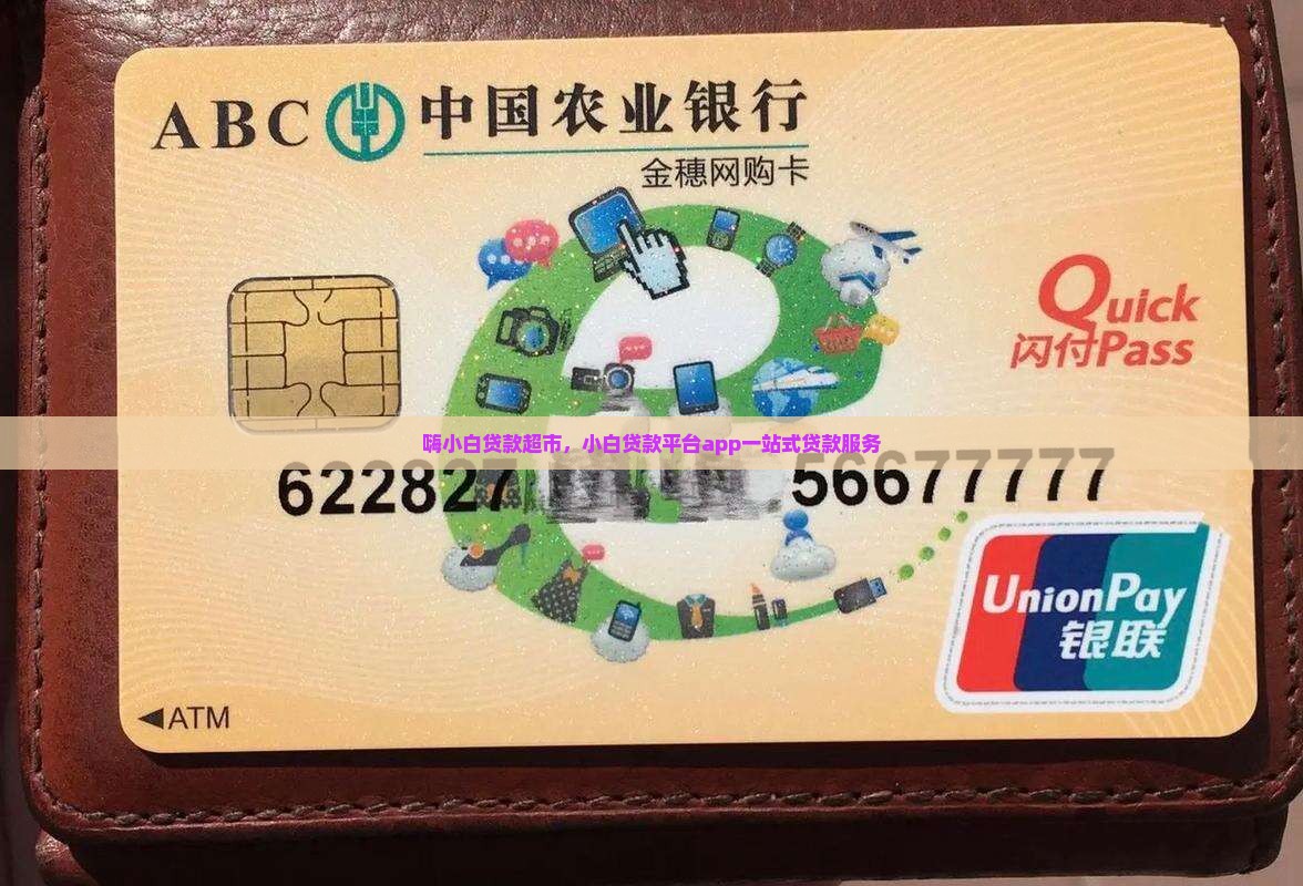 嗨小白贷款超市