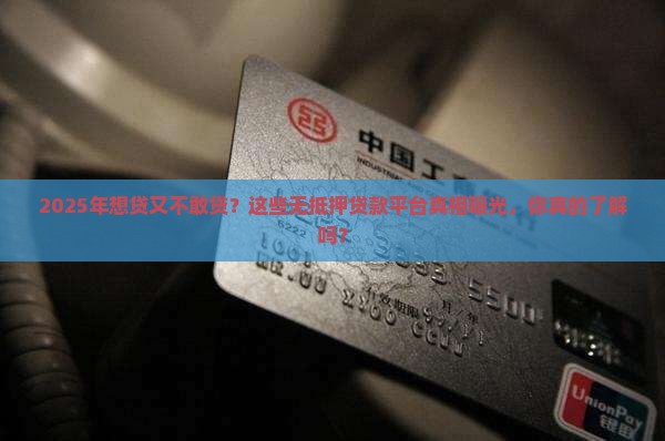 在线申请无抵押贷款平台