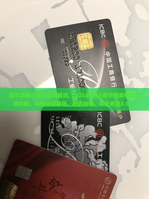 哈尔滨有小额贷款吗最近