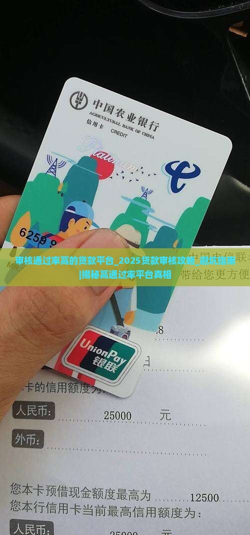 审核通过率高的贷款平台
