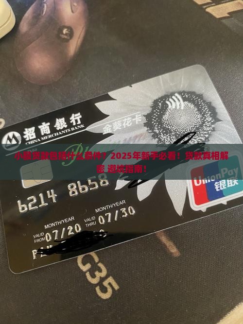 小额贷款包括什么条件