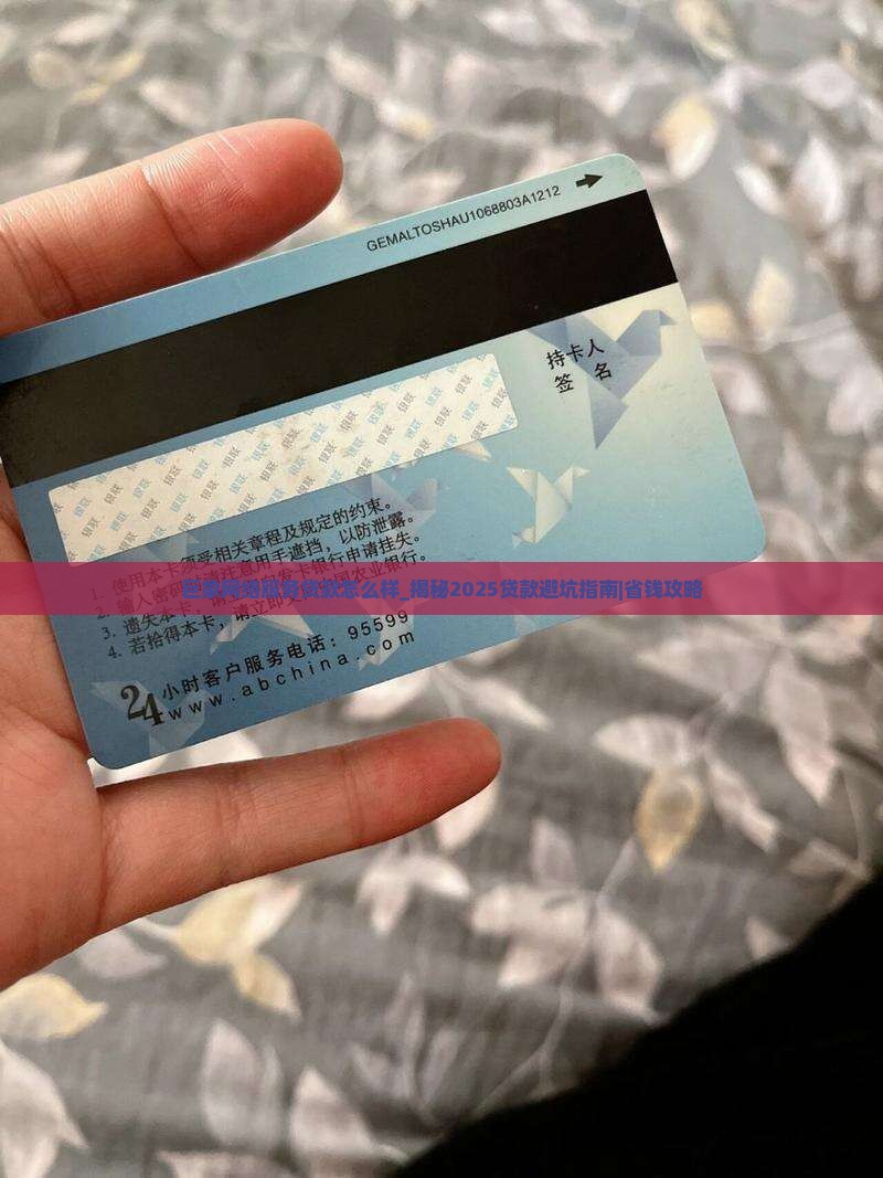 巨象网络服务贷款怎么样