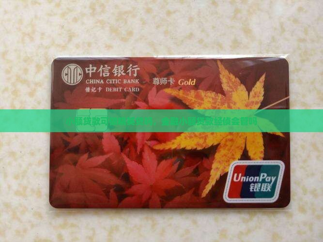 小额贷款可做精英贷