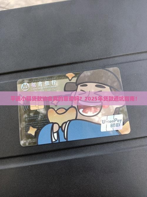 平遥小额贷款协会
