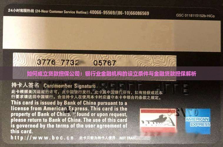 如何成立贷款担保公司