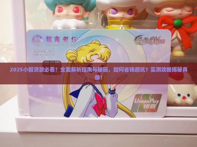 小额贷款使用说明