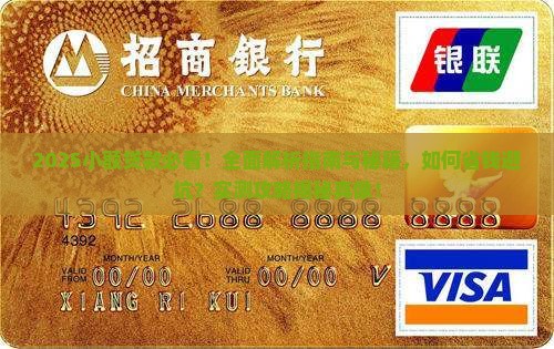 小额贷款使用说明