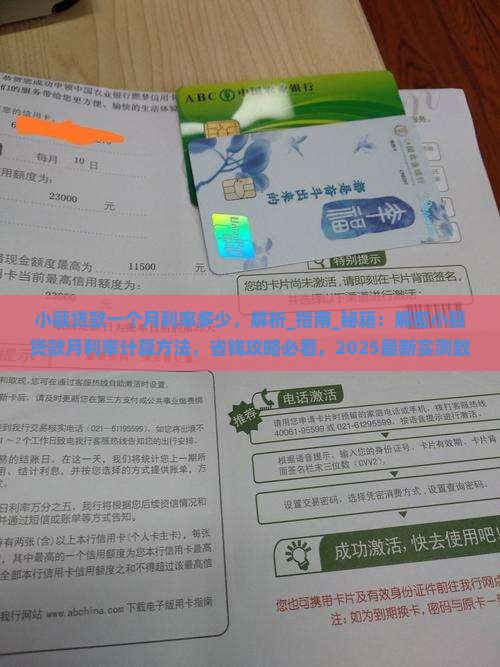 小额贷款一个月利率多少