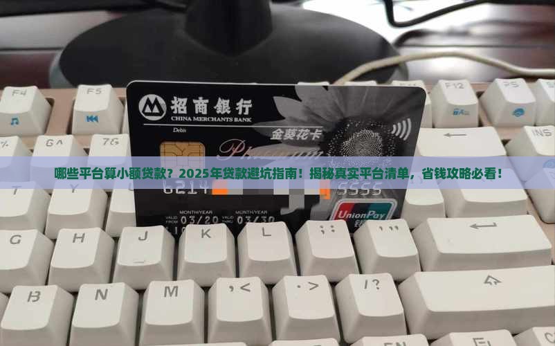 哪些平台算小额贷款
