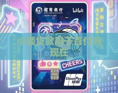 小额贷款用于首付吗现在