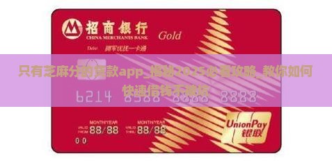 只有芝麻分的贷款app