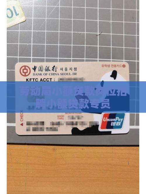 劳动局小额贷款岗位