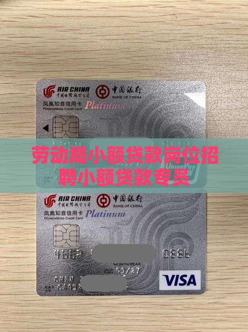 劳动局小额贷款岗位