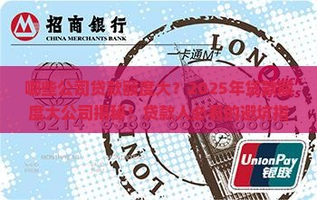 哪些公司贷款额度大