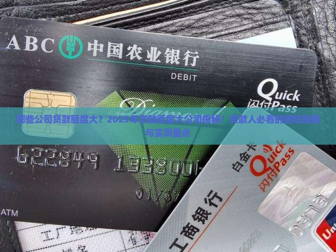 哪些公司贷款额度大