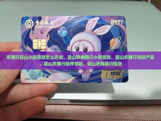 农商行昆山小额贷款
