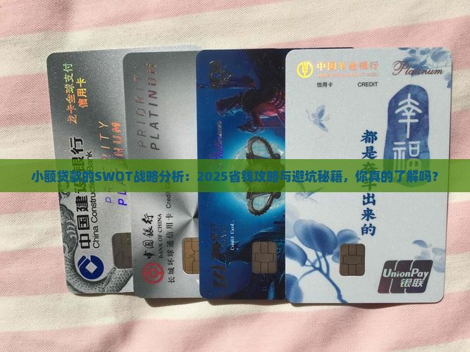 小额贷款的swot的战略分析