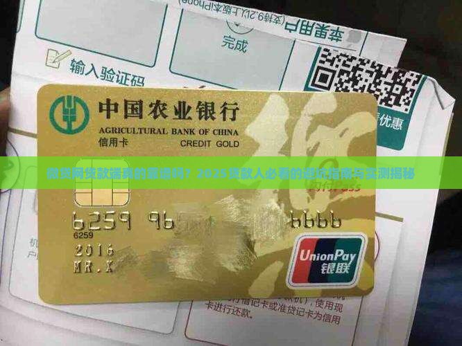 微贷网贷款端