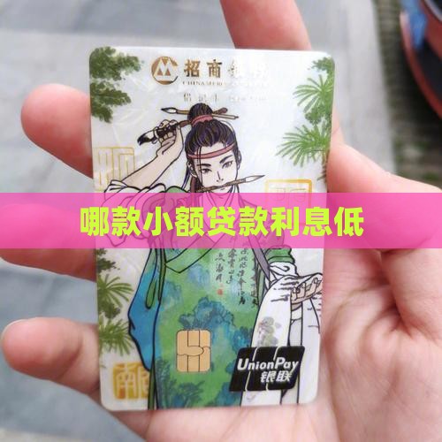 哪款小额贷款利息低