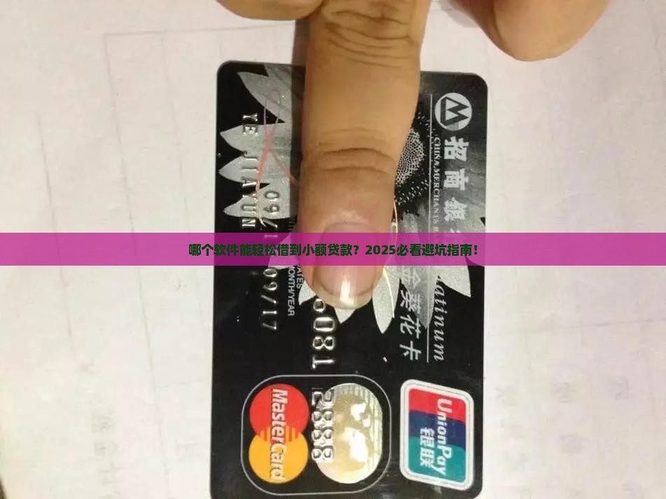 哪个软件有小额贷款