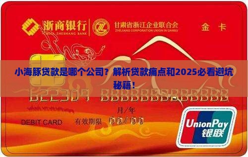 小海豚贷款是哪个公司
