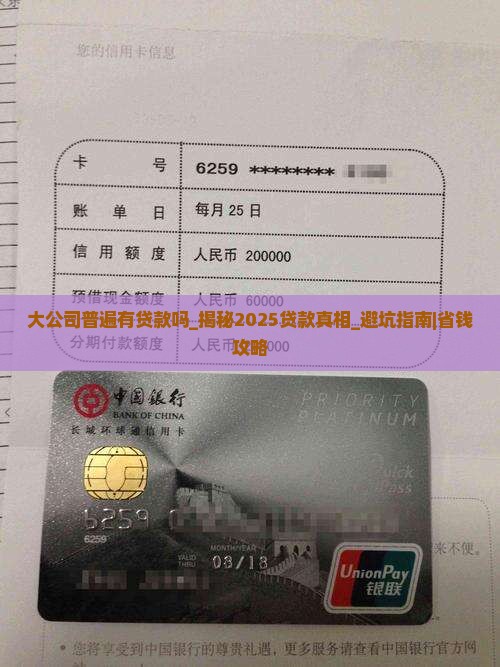 大公司普遍有贷款吗