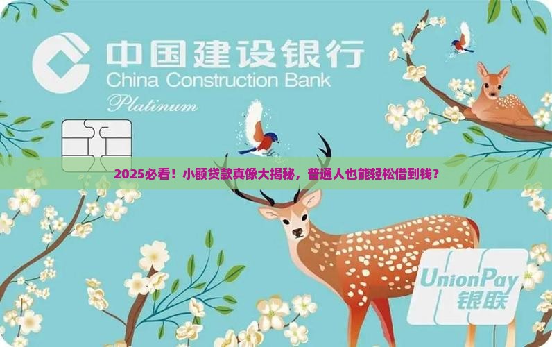 可以使用小额贷款吗