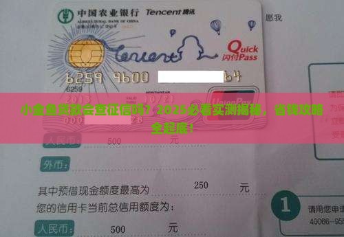 小金鱼贷款会上征信吗