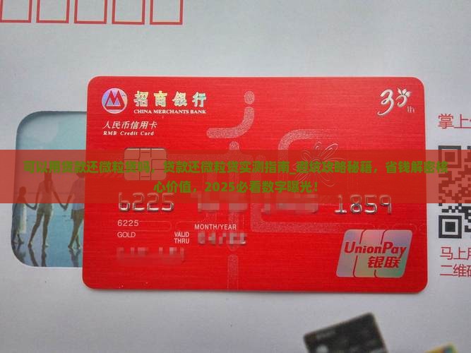 可以用贷款还微粒贷吗