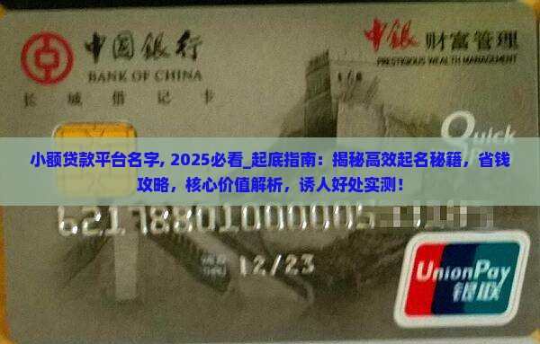 小额贷款平台名字 小额贷款平台名字