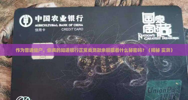 商业银行正常类贷款余额
