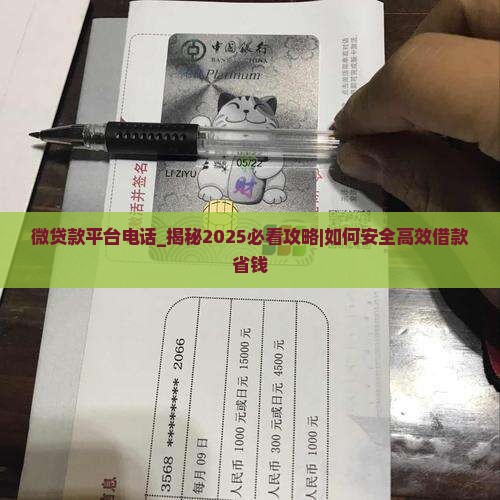 微贷款平台电话