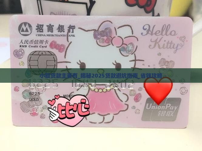 小额贷款主要有