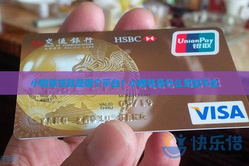 小橙意贷款是哪个平台