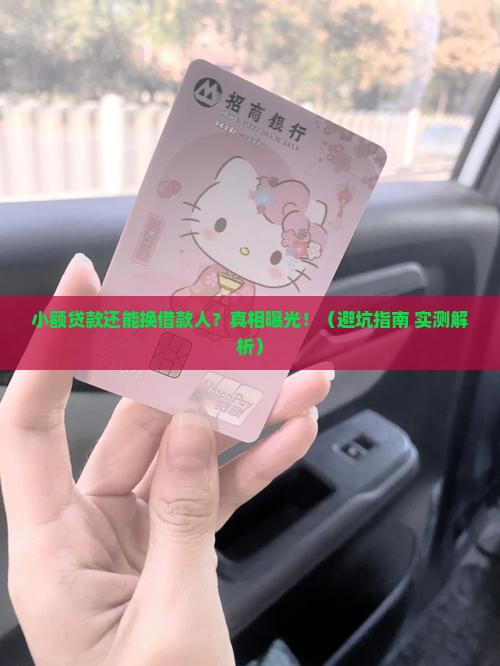小额贷款可以改借款人吗