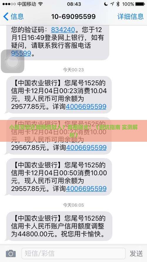 小额贷款可以改借款人吗