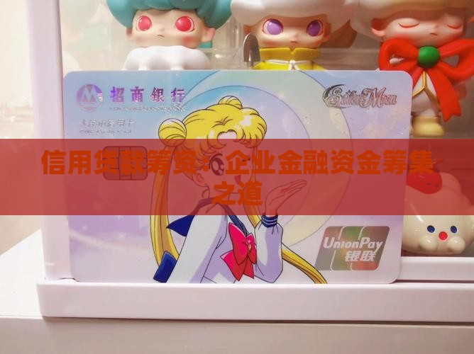 利用信用贷款筹集资金