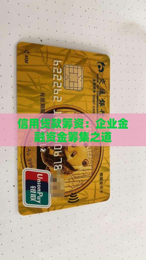 利用信用贷款筹集资金