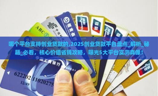 哪个平台支持创业贷款的