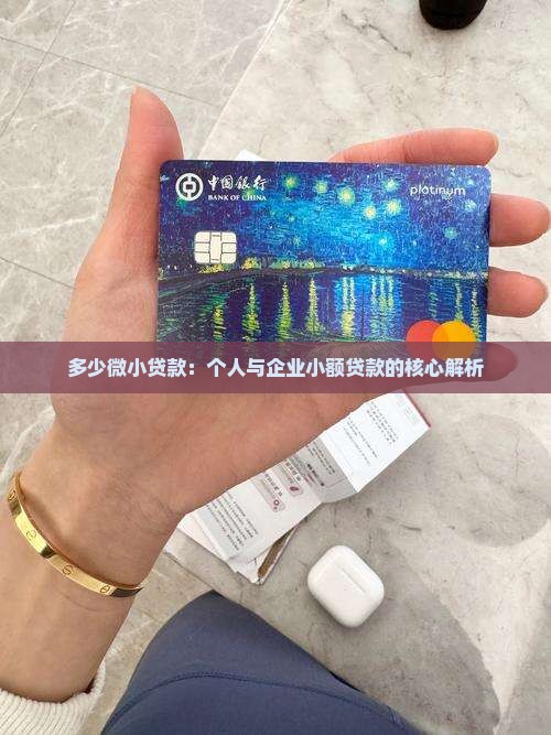 多少微小额贷款