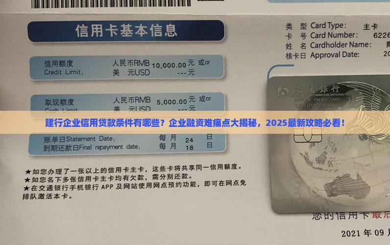 建行企业信用贷款条件