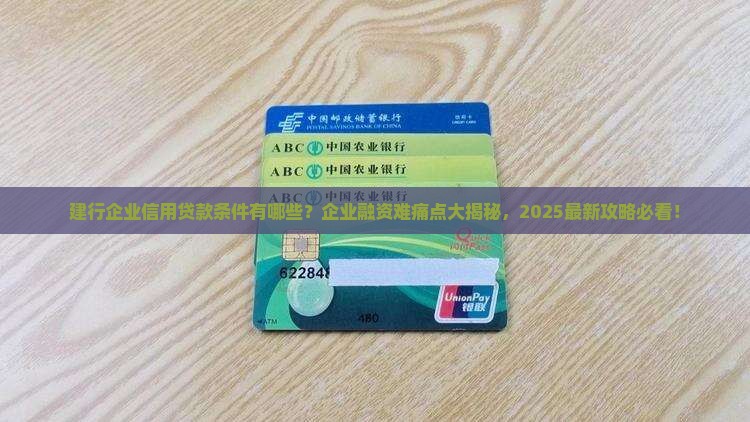建行企业信用贷款条件