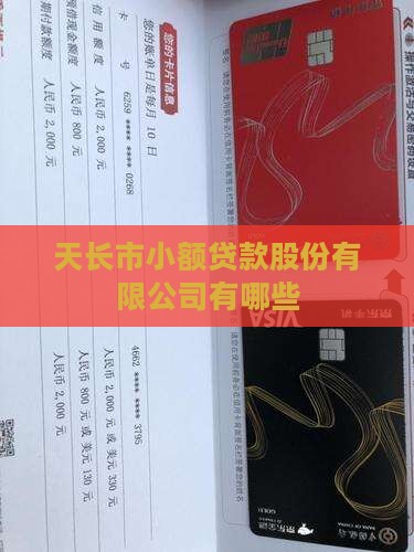 天长贷款平台有哪些