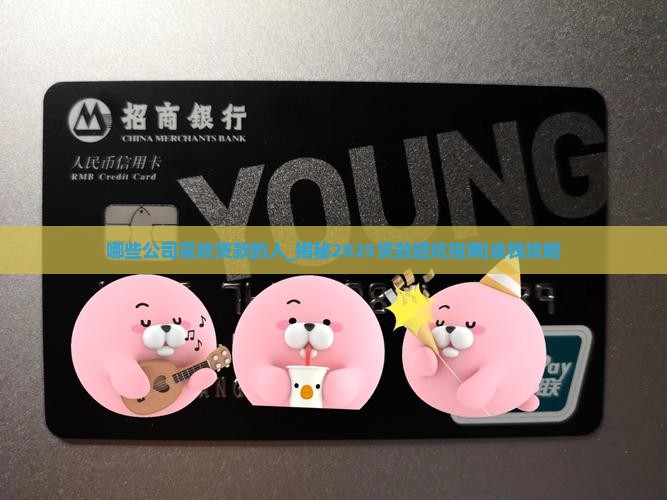 哪些公司喜欢贷款的人