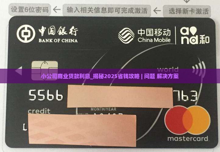 小公司商业贷款利息
